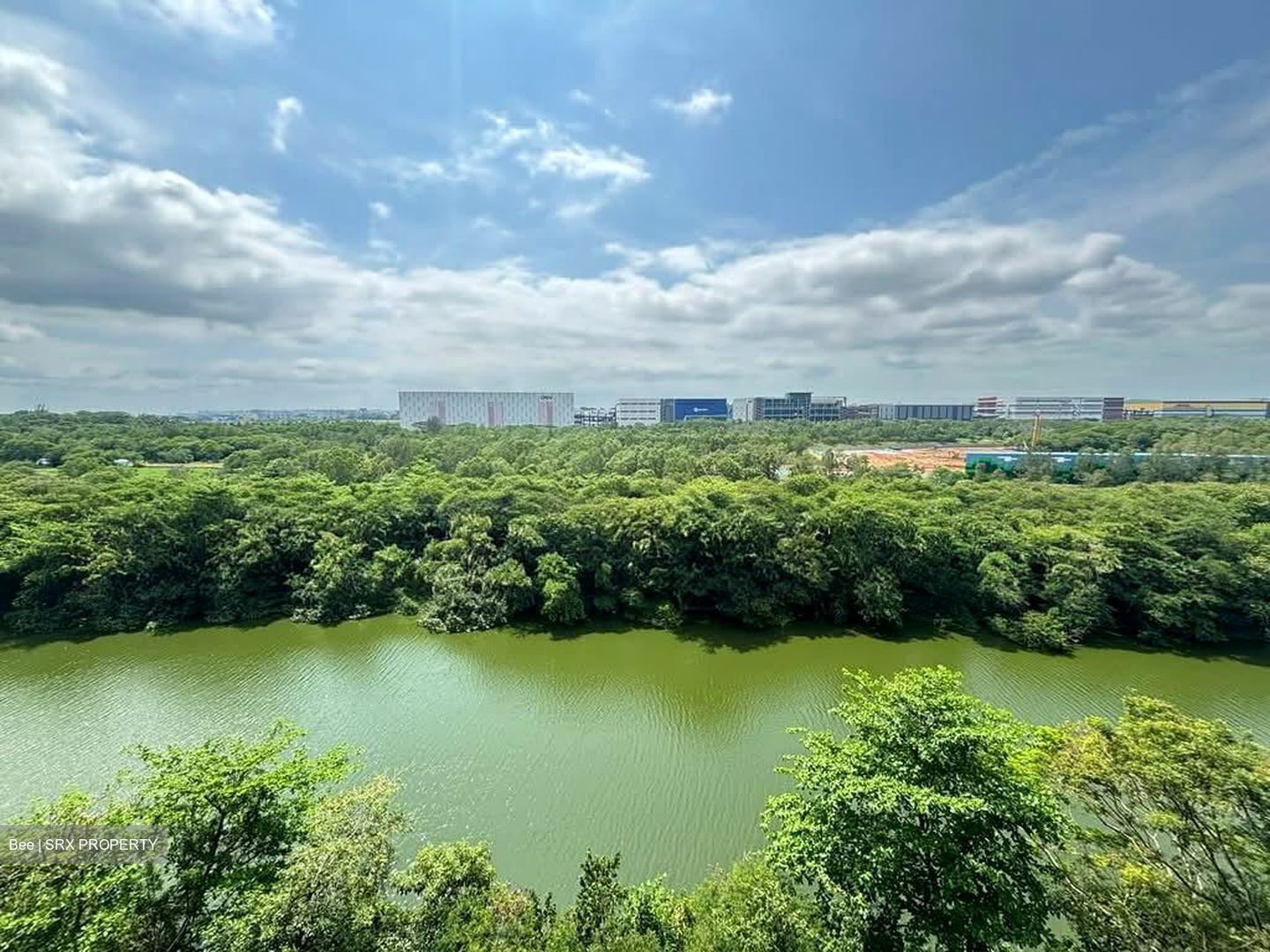 Kingsford Waterbay (D19), Apartment #602887851